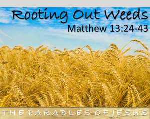 matthew_13_24-43Weeds